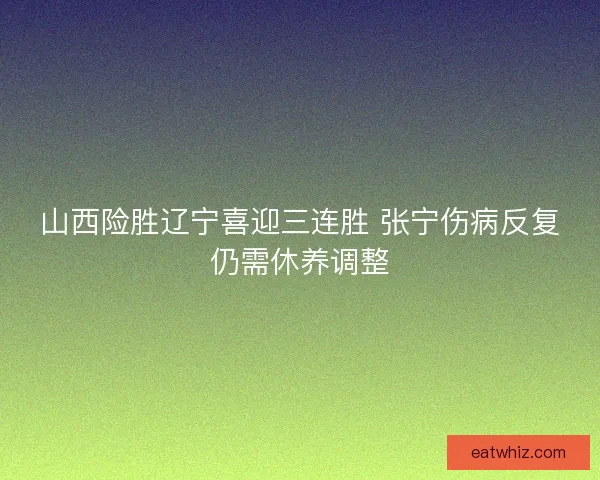 山西险胜辽宁喜迎三连胜 张宁伤病反复仍需休养调整
