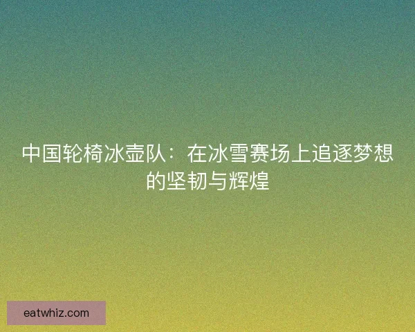 中国轮椅冰壶队：在冰雪赛场上追逐梦想的坚韧与辉煌
