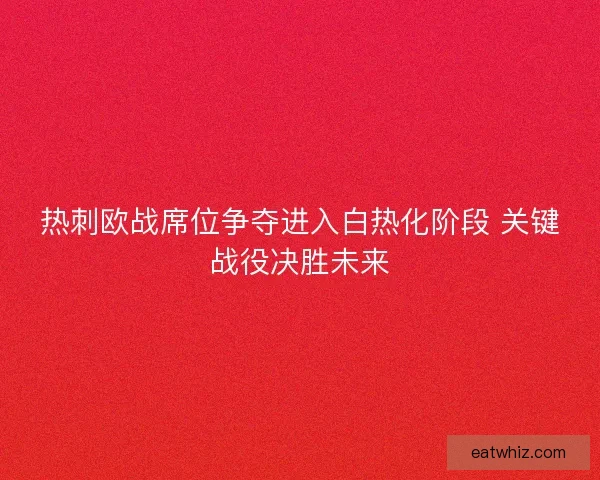 热刺欧战席位争夺进入白热化阶段 关键战役决胜未来