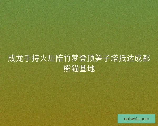 成龙手持火炬陪竹梦登顶笋子塔抵达成都熊猫基地