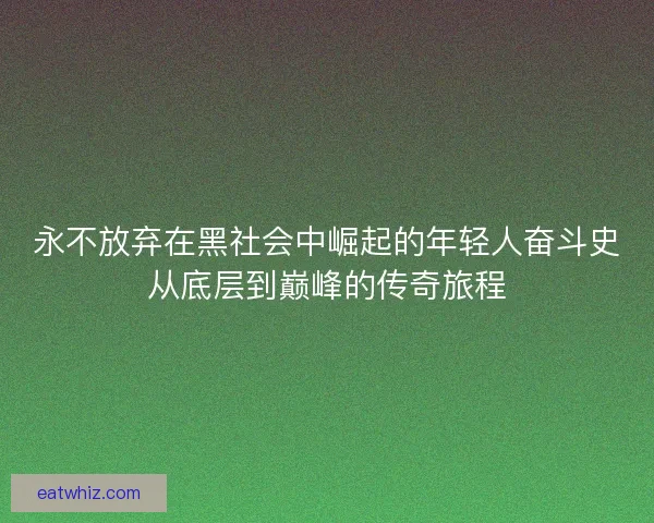 永不放弃在黑社会中崛起的年轻人奋斗史从底层到巅峰的传奇旅程